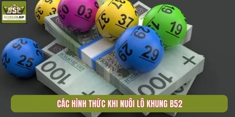 Các hình thức khi nuôi lô khung B52