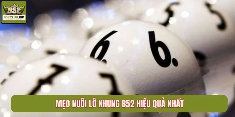 Mẹo nuôi lô khung B52 hiệu quả nhất